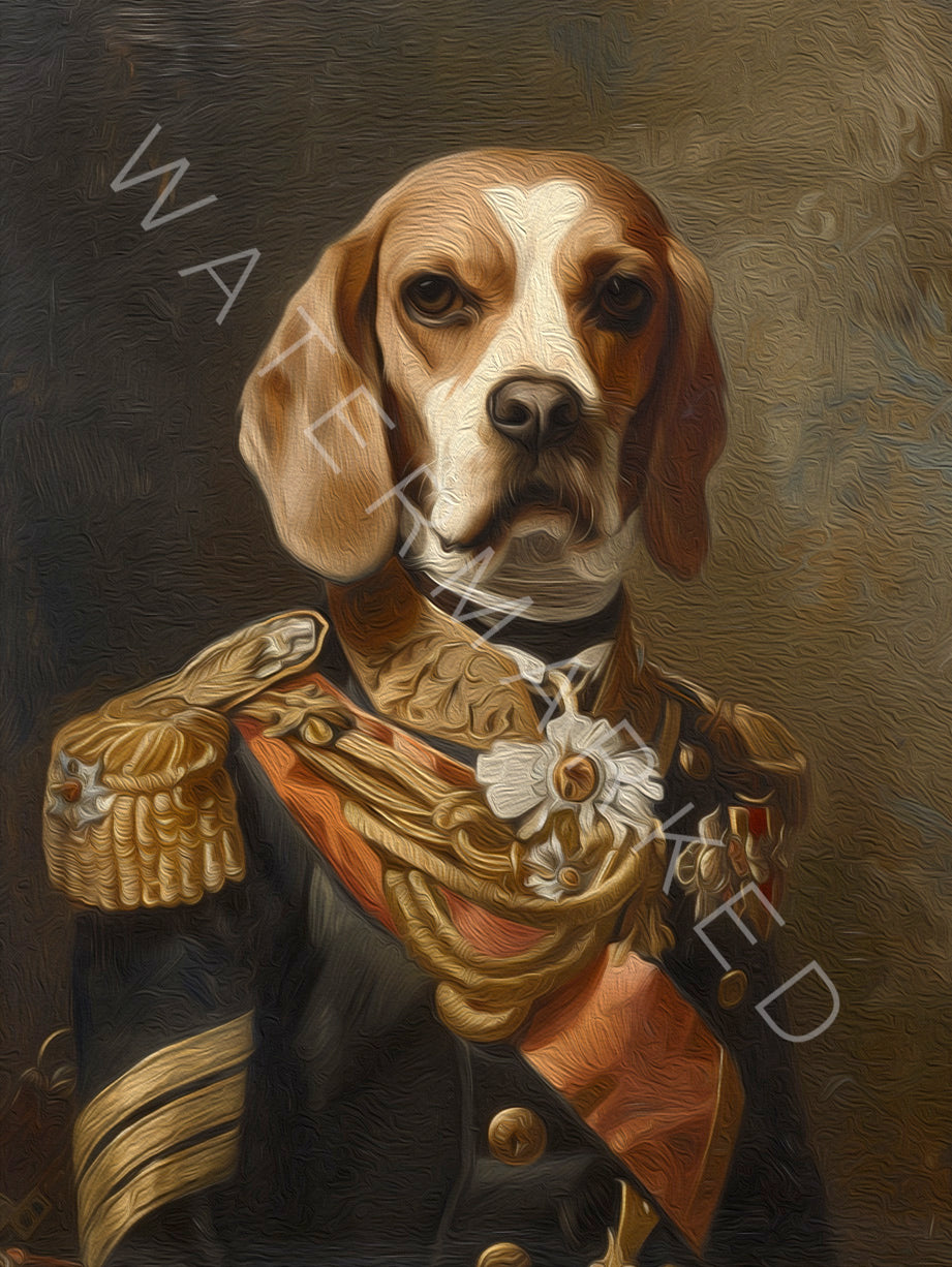Pet Portrait - Custom designs