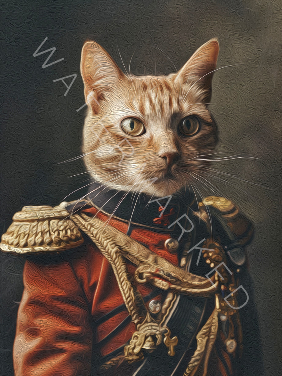 Pet Portrait - Custom designs