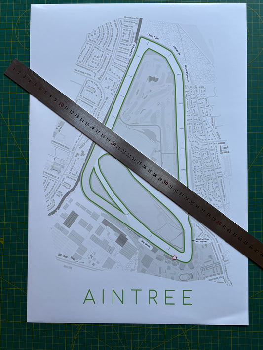 Aintree Racecourse Print - 48 x 33cm