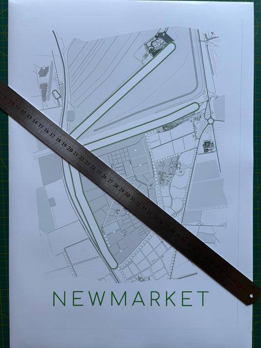 Newmarket Racecourse Print - A3