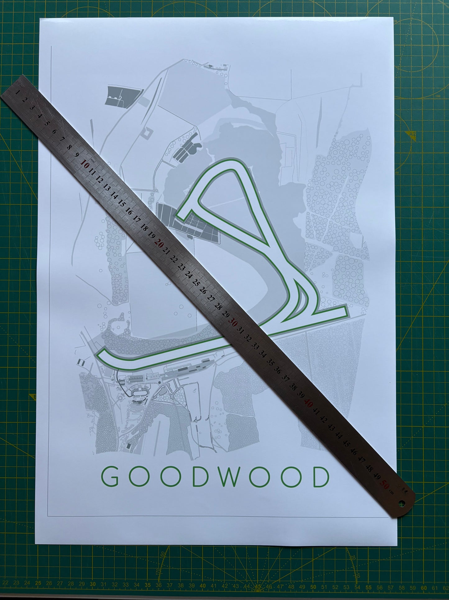 Goodwood Racecourse Print - A3