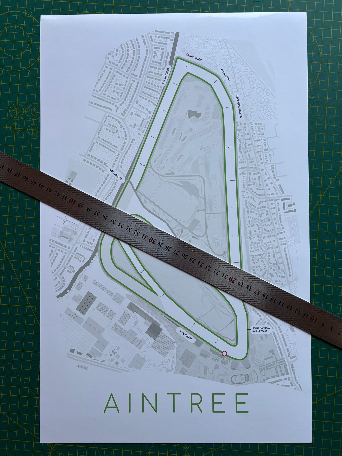 Aintree Racecourse Print - 30 x 48cm