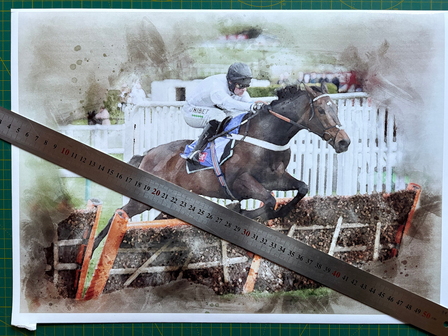 Constitution Hill Racehorse Print- A3