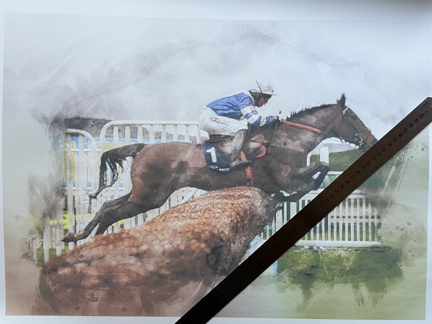 Frodon Racecourse Print - A2