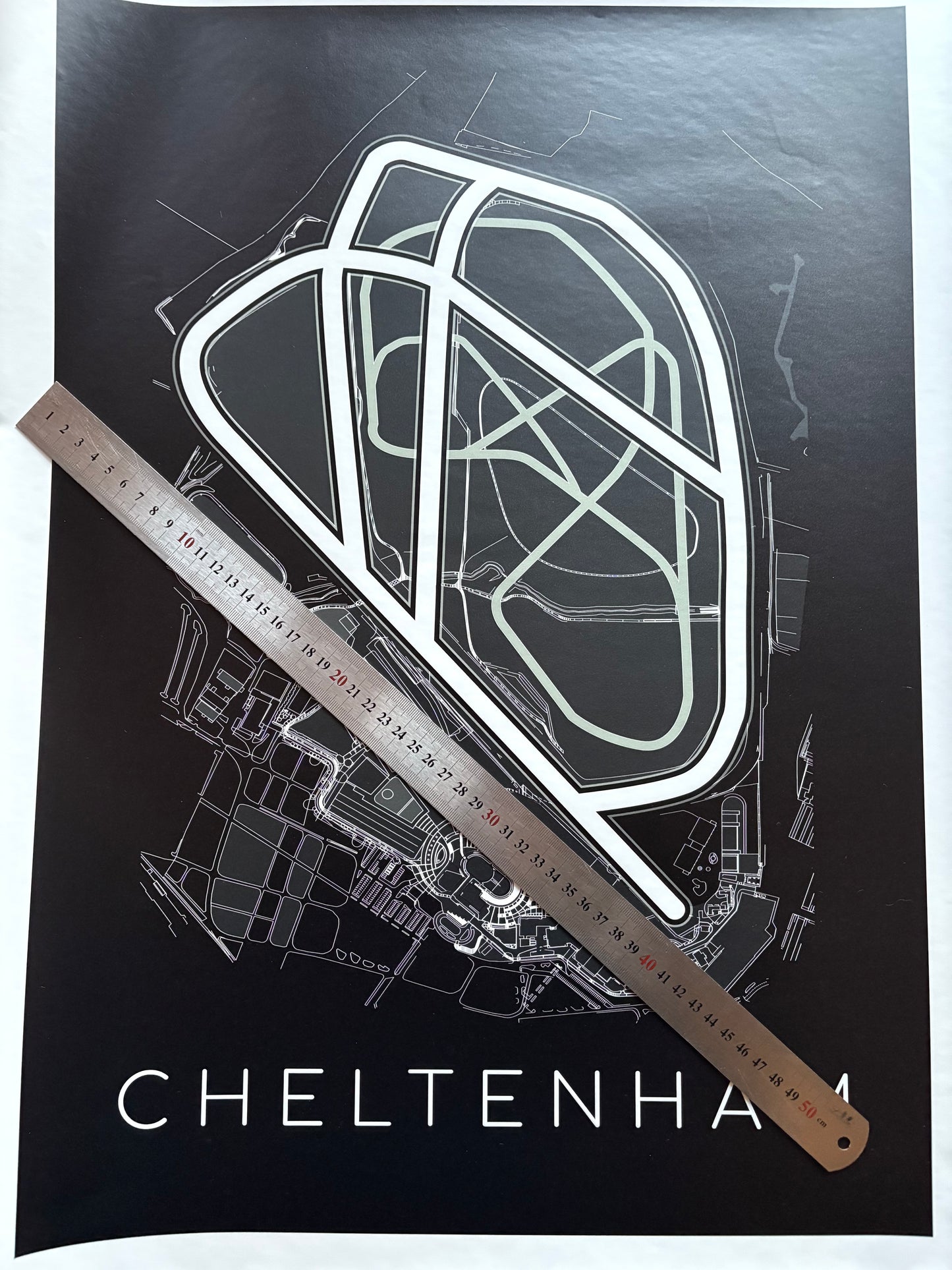 Cheltenham Racecourse Print - A2 Black & White Vinyl